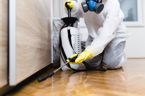 Best Mosquito Control Services  in Atchison, KS