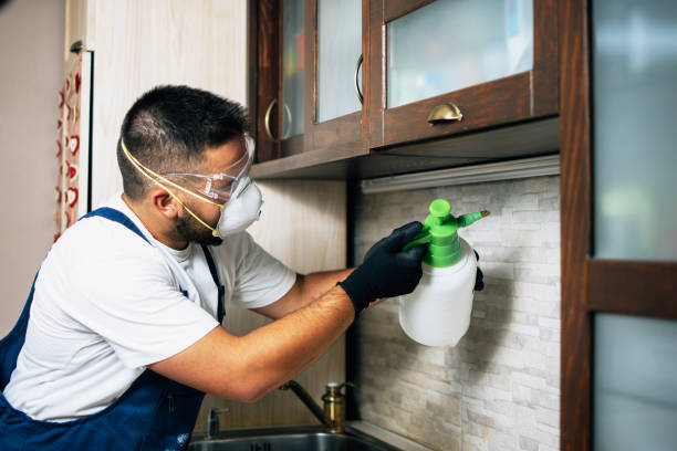 Best Pest Inspection Near Me  in Atchison, KS