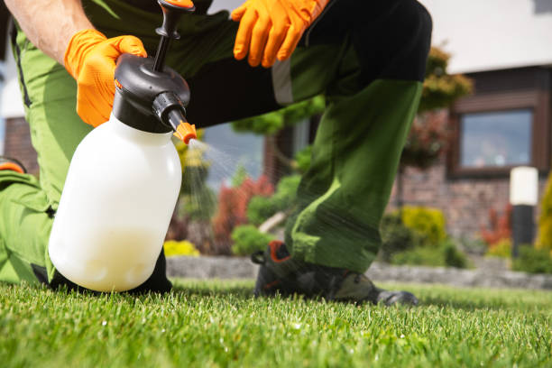 Best Cockroach Control Services  in Atchison, KS