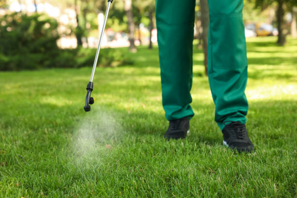 Best Pest Inspection Near Me  in Atchison, KS