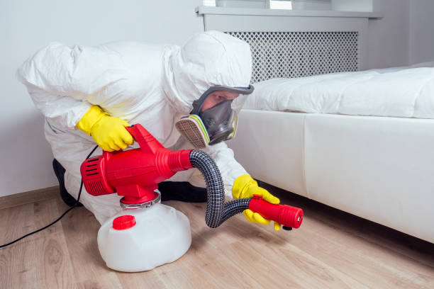 Best Termite Control Services  in Atchison, KS