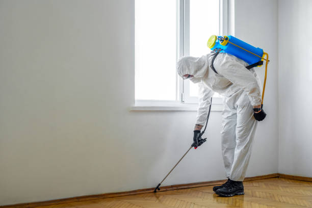 Best Emergency Pest Control  in Atchison, KS