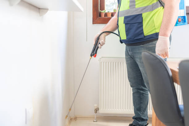 Best Wasp Removal Services  in Atchison, KS