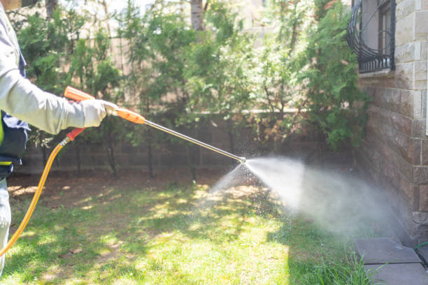 Best Local Pest Control Services  in Atchison, KS