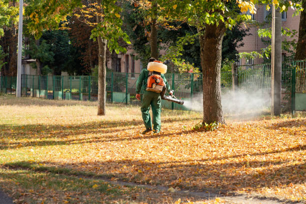 Best Best Pest Control Companies  in Atchison, KS