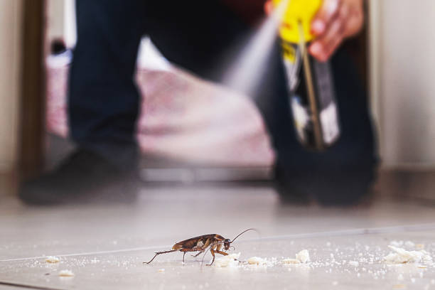 Best Pest Removal Services  in Atchison, KS