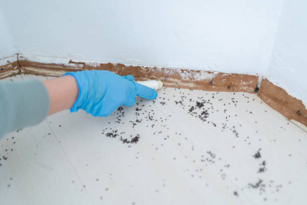 Best Local Pest Control Services  in Atchison, KS
