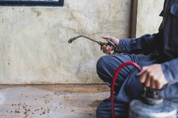 Best Affordable Pest Control Services  in Atchison, KS