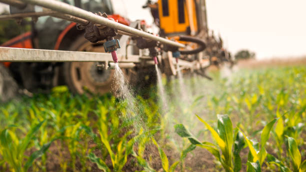 Best Local Pest Control Services  in Atchison, KS